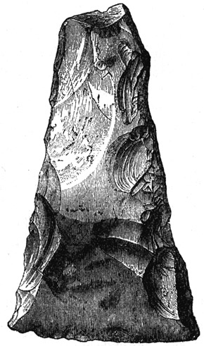 Book illustration