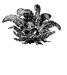 Book illustration