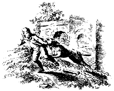 Book illustration
