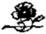Book illustration