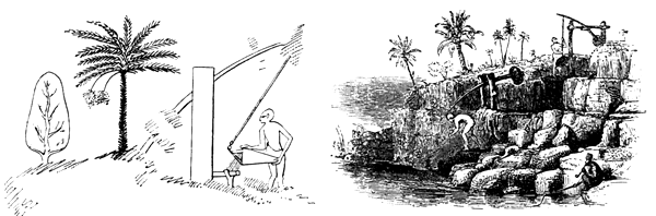 Book illustration