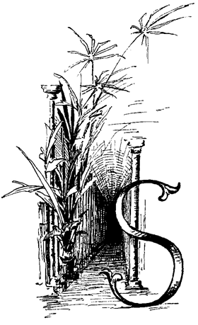 Book illustration