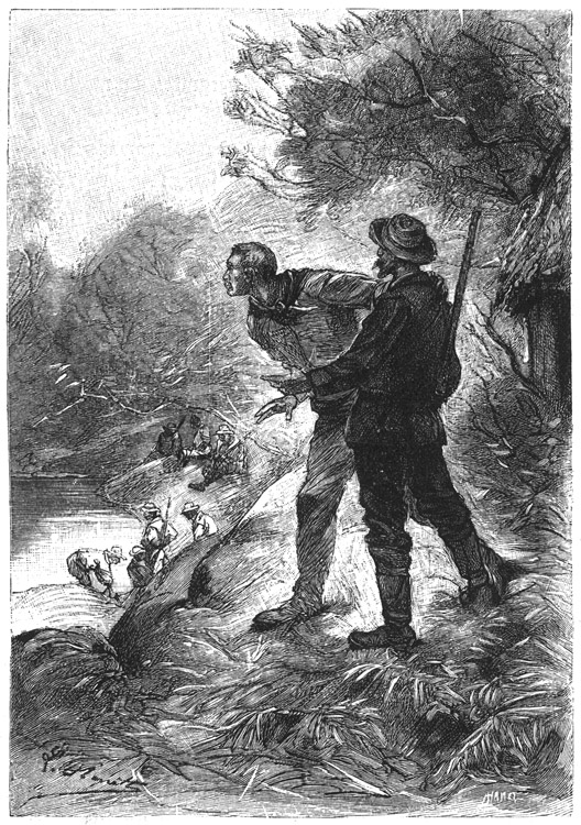 Book illustration