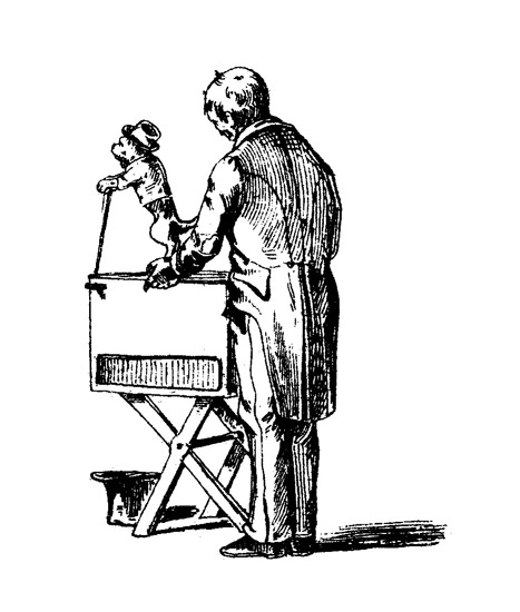 Book illustration