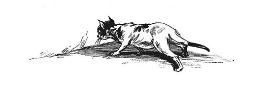 Book illustration