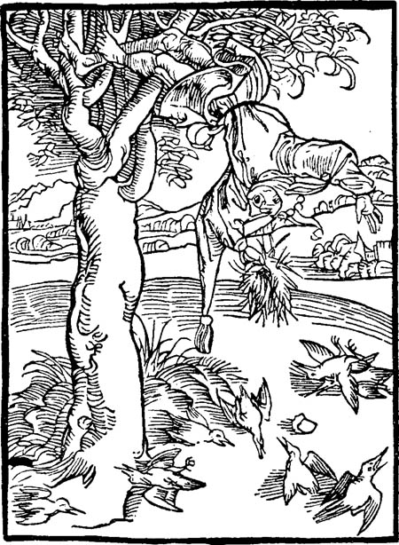 Book illustration