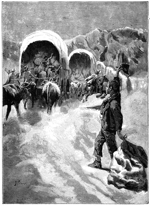 Book illustration
