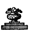Book illustration