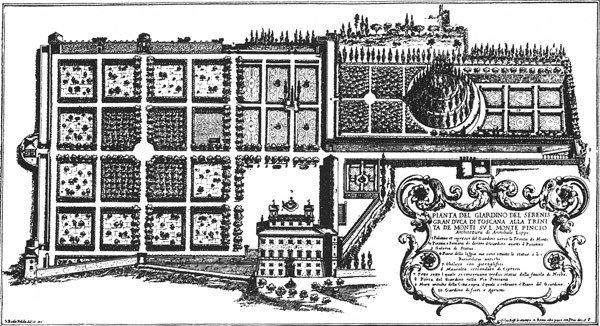 Book illustration