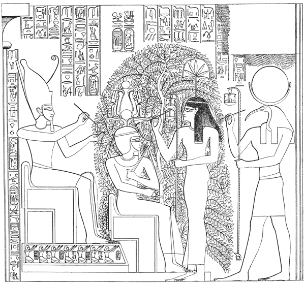 Book illustration