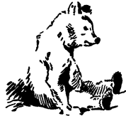 Book illustration