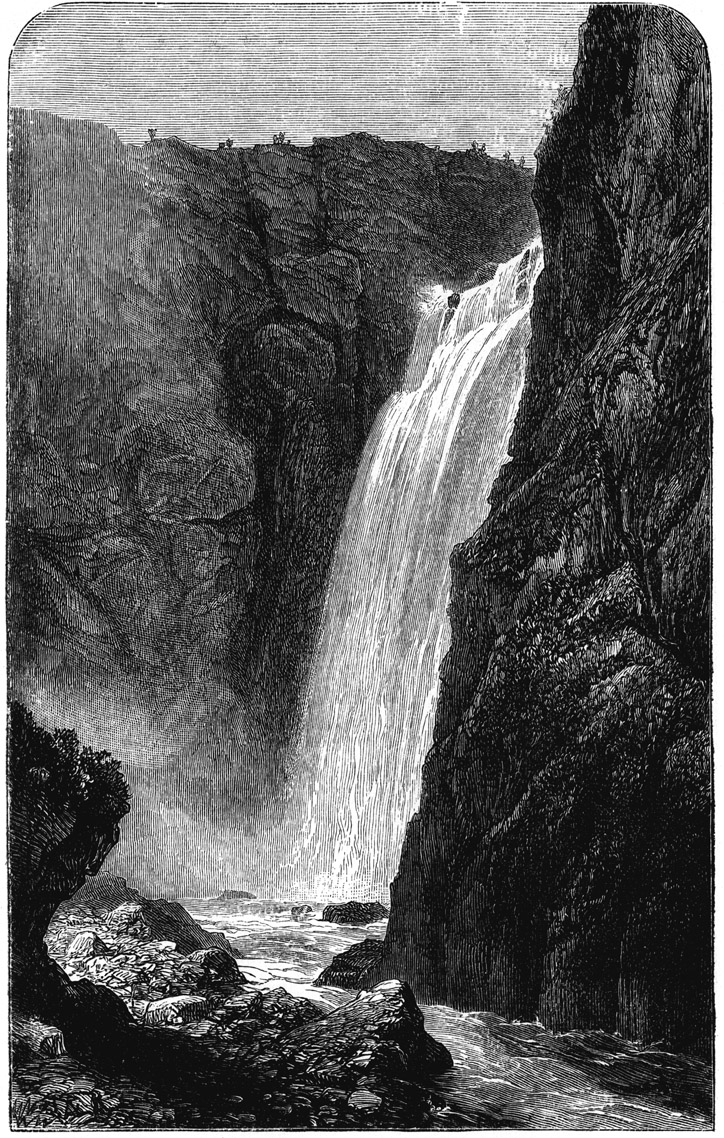 Book illustration