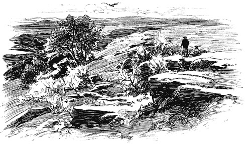 Book illustration