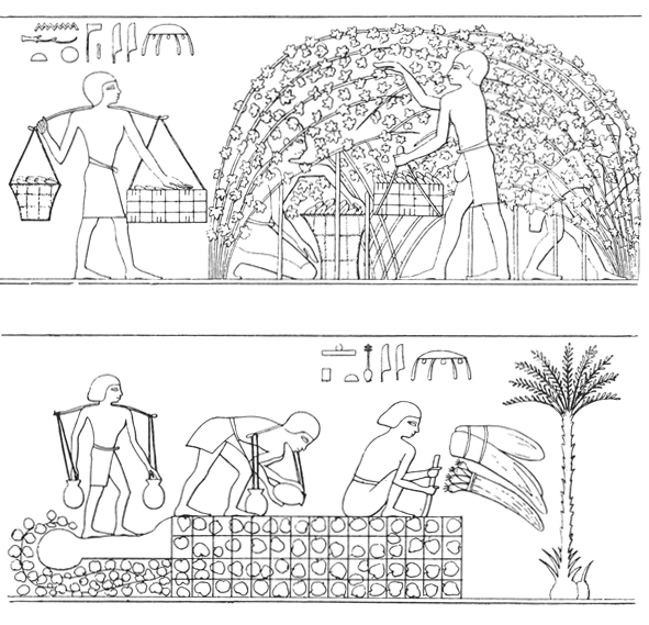 Book illustration