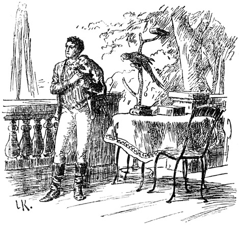 Book illustration
