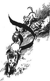 Book illustration