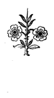 Book illustration