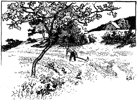 Book illustration