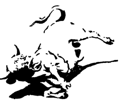 Book illustration