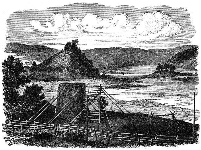 Book illustration