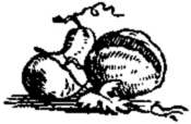 Book illustration
