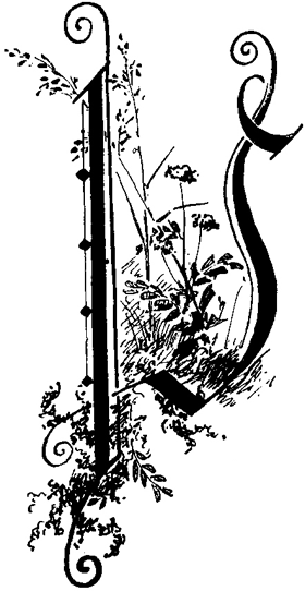 Book illustration