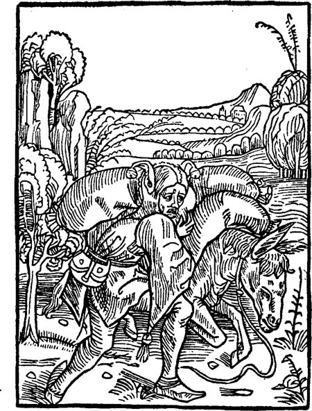 Book illustration
