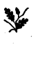 Book illustration