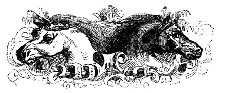 Book illustration
