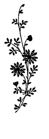 Book illustration