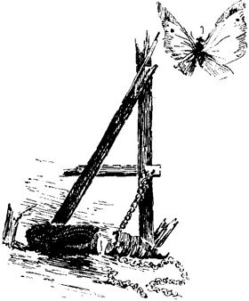 Book illustration