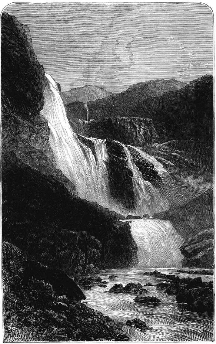 Book illustration