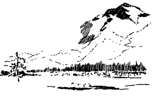 Book illustration