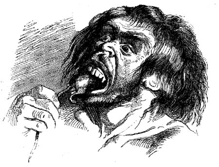 Book illustration