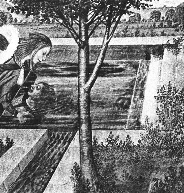 Book illustration