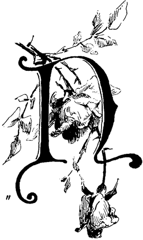 Book illustration