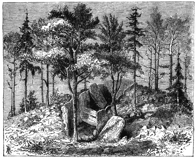 Book illustration