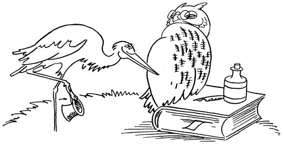 Book illustration