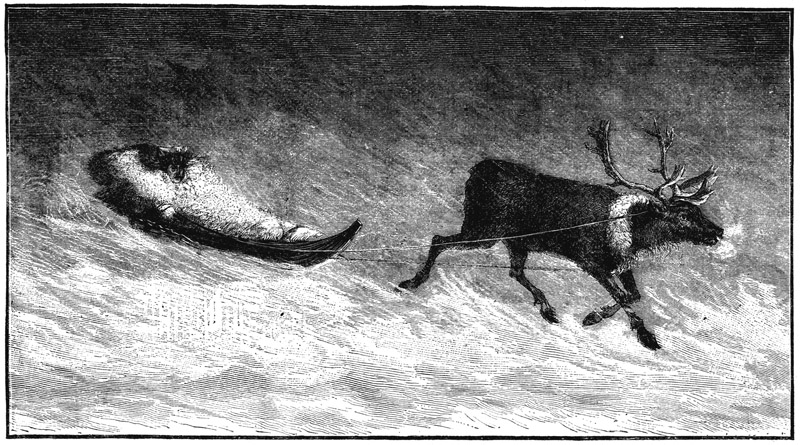 Book illustration