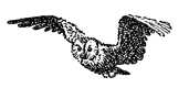 Book illustration