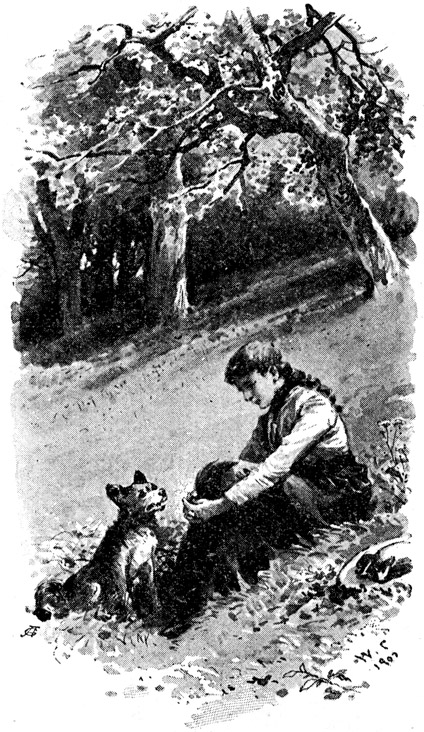 Book illustration