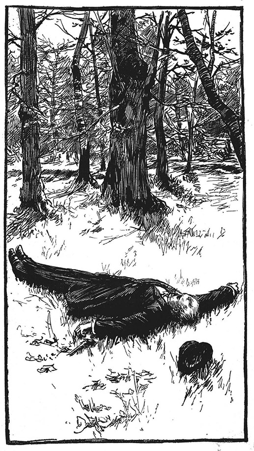Book illustration