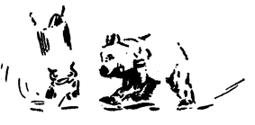Book illustration