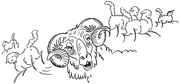 Book illustration