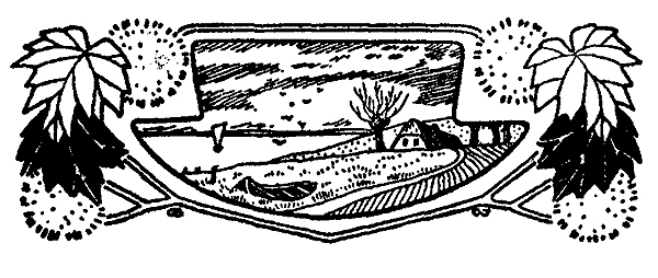 Book illustration