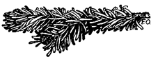 Book illustration
