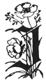 Book illustration