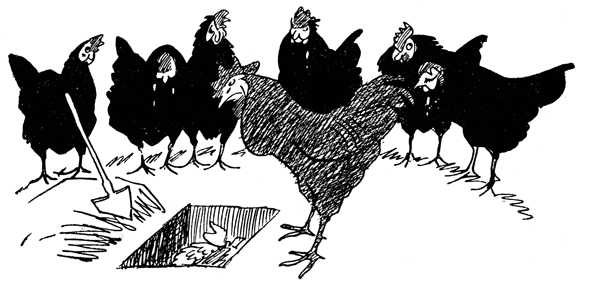 Book illustration