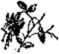 Book illustration