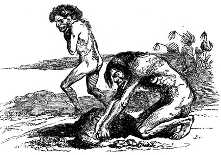 Book illustration